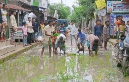 শ্রীপুর উপজেলা সড়কের গর্তে ধানগাছ রোপণ করে অভিনব প্রতিবাদ এলাকাবাসীর