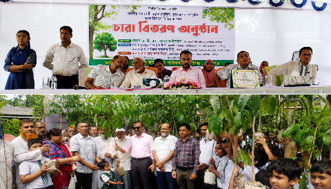 শিশু ভূমিষ্ট হওয়ার পর যেমন যত্ন করেন, চারাটিকেও তেমন যত্ন করতে হবে: ইউএনও কামরুল ইসলাম
