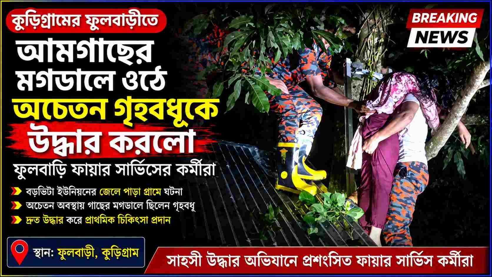 কুড়িগ্রামের ফুলবাড়ী উপজেলার বড়ভিটা ইউনিয়নের জেলে পাড়া গ্রামে বাড়ির আঙ্গিনার আমগাছের মগডালে ওঠে